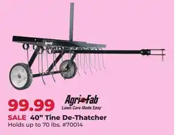 Runnings 40 Tine De-Thatcher offer