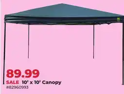 Runnings 10' x 10' Canopy offer