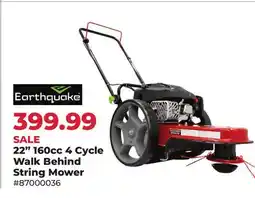 Runnings 22 160cc 4 Cycle Walk Behind String Mower offer