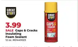Runnings Great Stuff Gaps & Cracks Insulating Foam Sealant offer