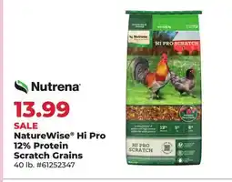 Runnings Nutrena NatureWise Hi Pro 12% Protein Scratch Grains offer