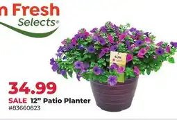 Runnings 12 Patio Planter offer