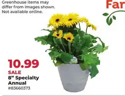 Runnings 8 Specialty Annual offer