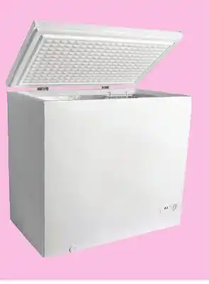 Runnings Bridgeland 7.0 Cu. Ft. Chest Freezer offer