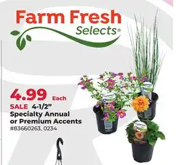 Runnings 4-1/2 Specialty Annual or Premium Accents offer