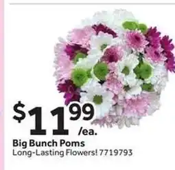 Stop&Shop Big Bunch Poms offer