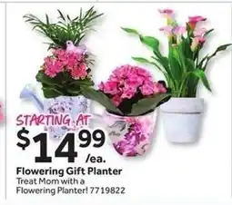 Stop&Shop Flowering Gift Planter offer