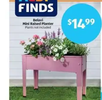 Belavi Mini Raised Planter