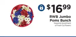 ShopRite RWB Jumbo Poms Bunch offer