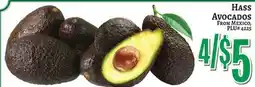 Trade Fair Supermarket Hass AVOCADOS offer