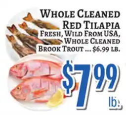Trade Fair Supermarket WHOLE CLEANED RED TILAPIA FRESH, WILD FROM USA, WHOLE CLEANED BROOK TROUT offer