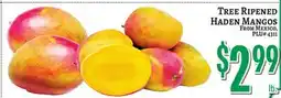 Trade Fair Supermarket TREE RIPENED HADEN MANGOS offer