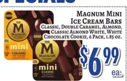 Trade Fair Supermarket MAGNUM MINI Ice Cream Bars offer