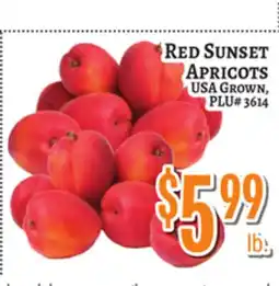 Trade Fair Supermarket Red Sunset Apricots offer