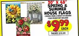 Ollie's 20 X 48 SPRING E SUMMER HOUSE FLAGS offer