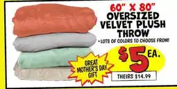 Ollie's 60 X 80 OVERSIZED VELVET PLUSH THROW offer