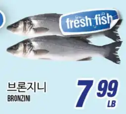 Joong Boo Market BRONZINI offer