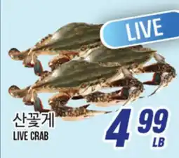 Joong Boo Market LIVE CRAB offer