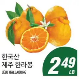 Joong Boo Market JEJU HALLABONG offer