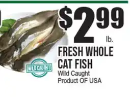 Extra Supermarket FRESH WHOLE CAT FISH offer