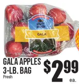Extra Supermarket GALA APPLES offer