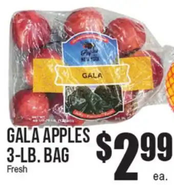 Extra Supermarket GALA APPLES offer