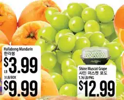 Hmart Hallabong Mandarin, Shine Muscat Grape offer