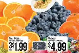 Hmart Navel Orange, Blueberry offer