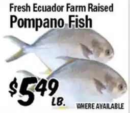 Western Beef Fresh Ecuador Farm Raised Pompano Fish offer