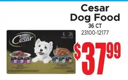 Jetro Cesar Dog Food offer