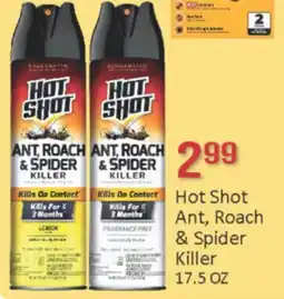 General Discount Hot Shot Ant, Roach & Spider Killer offer