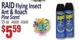 Jetro RAID Flying Insect Ant & Roach Pine Scent offer