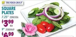 Restaurant Depot SQUARE PLATES offer
