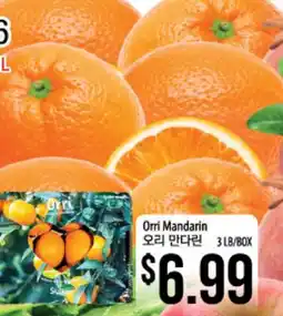 Hmart Orri Mandarin offer
