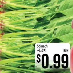 Hmart Spinach offer