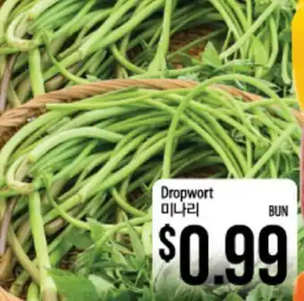 Hmart Dropwort offer