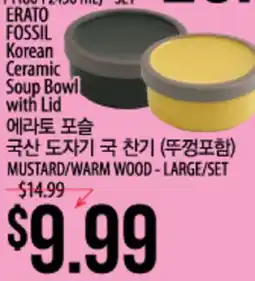 Hmart ERATO FOSSIL Korean Ceramic Soup Bowl with Lid offer