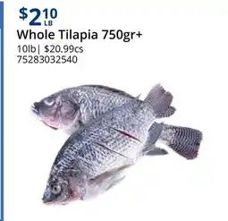 Restaurant Depot Whole Tilapia 750gr+ offer