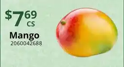 Restaurant Depot Mango offer