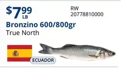 Restaurant Depot Bronzino 600/800gr offer