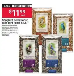 Ace Hardware Songbird Selections Wild Bird Food offer