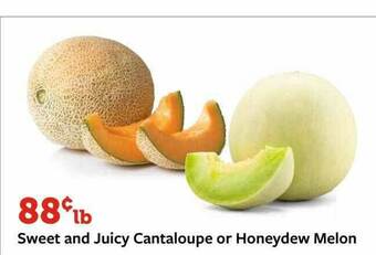 Fareway Sweet And Juicy Cantaloupe Or Honeydew Melon offer