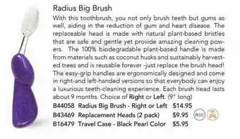 Isabella Radius Big Brush offer