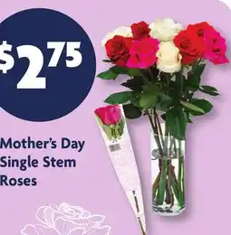 Family Dollar Mother's Day Single Stem Roses offer