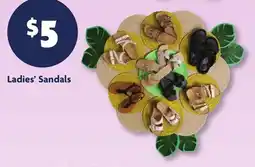 Family Dollar Ladies' Sandals offer