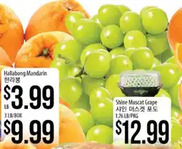 Hmart Hallaibong Mandarin, Shine Muscat Grape offer