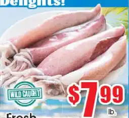 Supremo Foods Inc Fresh Squid offer
