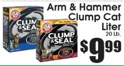 Supremo Foods Inc Arm & Hammer Clump Cat Liter offer