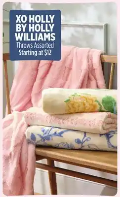 Dollar General HOLLY BY HOLLY WILLIAMS Throws offer