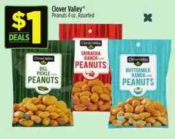 Dollar General Clover Valley Peanuts offer